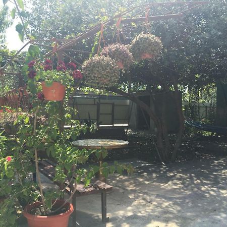 Guesthouse Milena Leselidze Exterior foto